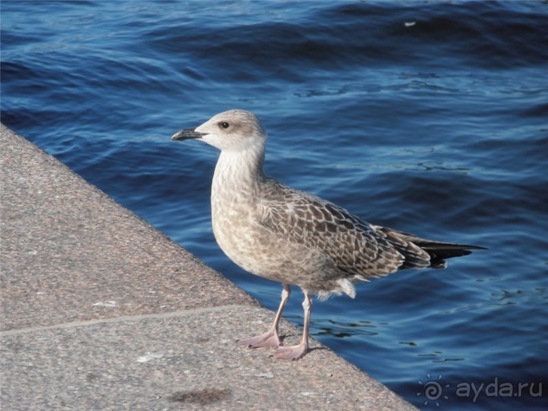 Стокгольм - солнечный город