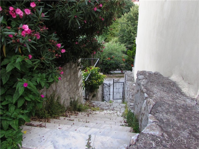 Греческие каникулы