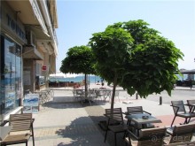 Греческие каникулы