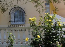 Греческие каникулы