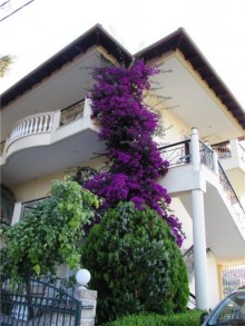 Греческие каникулы