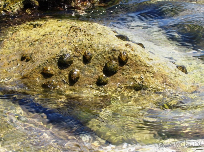 Греческие каникулы