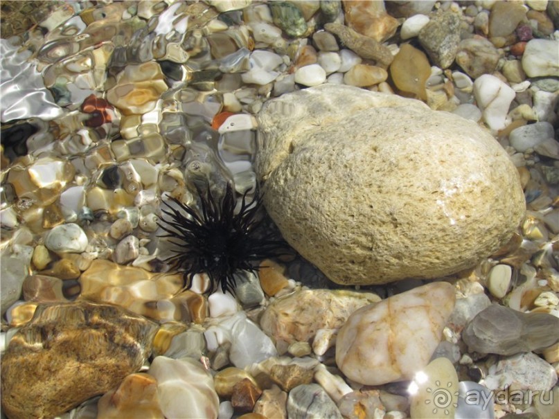 Греческие каникулы