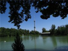 Звезда Востока