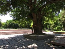 Звезда Востока