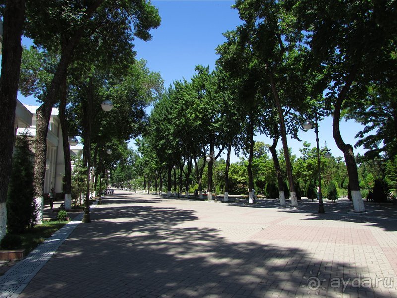 Звезда Востока