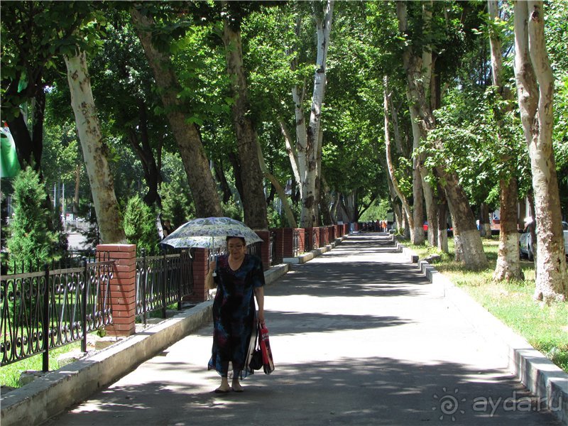 Звезда Востока