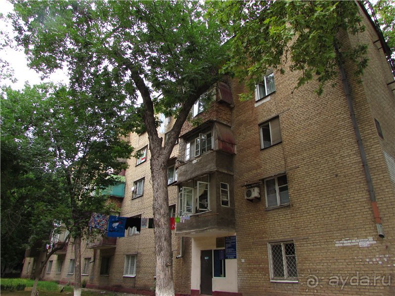 Звезда Востока