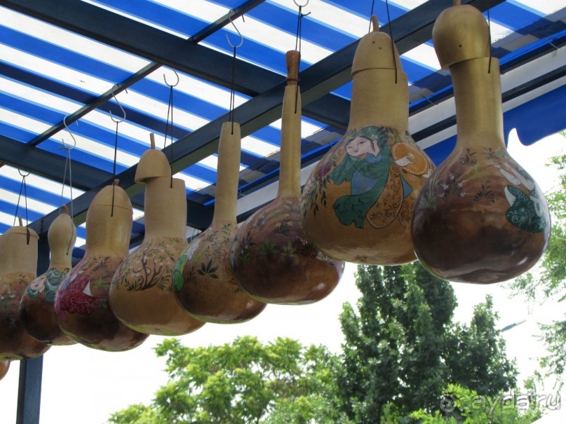 Звезда Востока