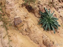 Цветные пески Поволжья