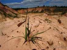Цветные пески Поволжья