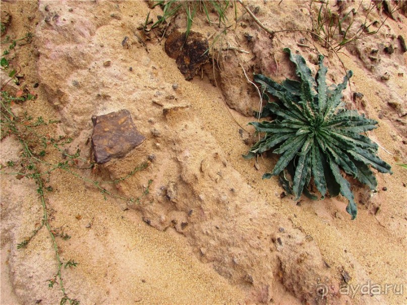 Цветные пески Поволжья