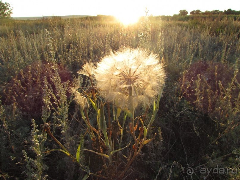Цветные пески Поволжья