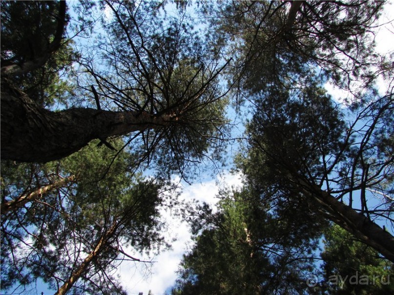 Цветные пески Поволжья
