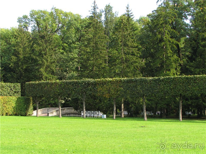 «Дворцов и замков свет…». Часть 2