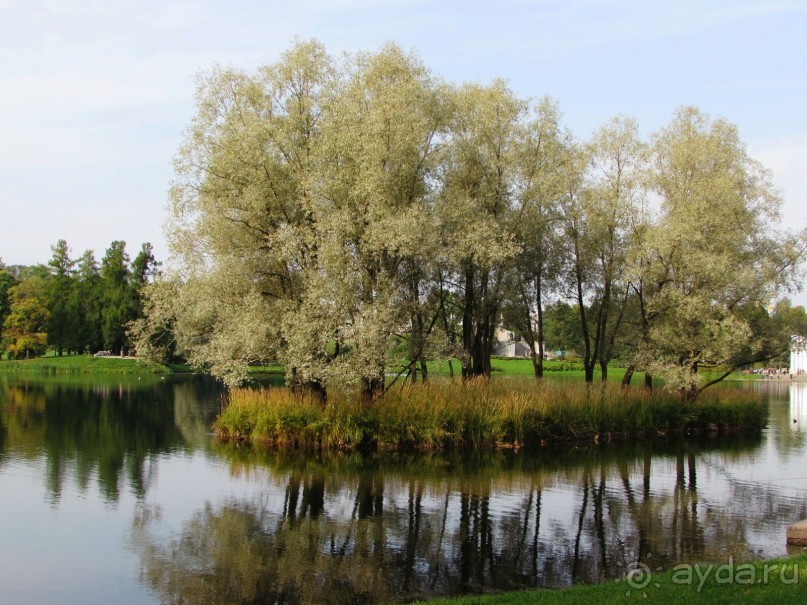 «Дворцов и замков свет…». Часть 2
