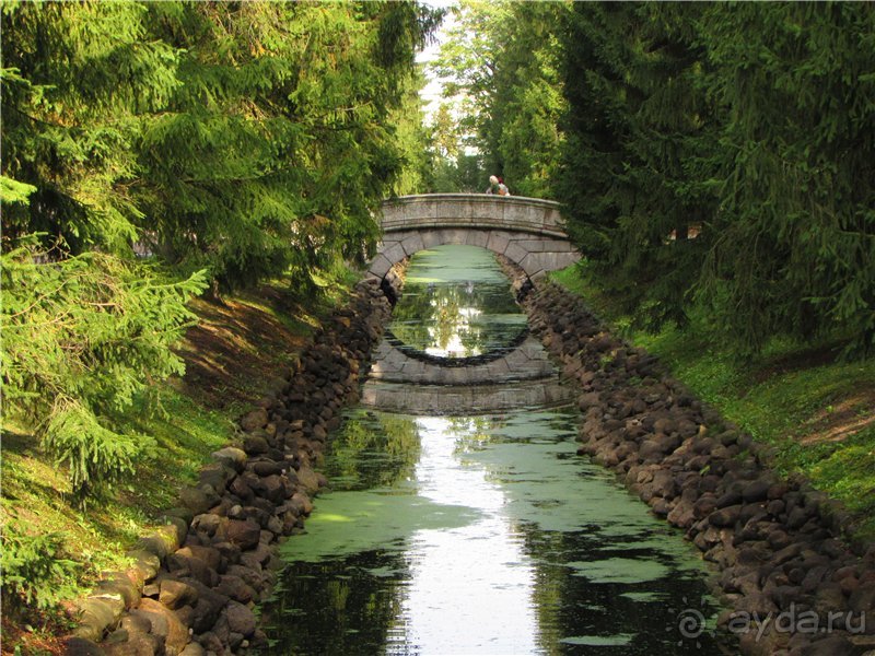 «Дворцов и замков свет…». Часть 2