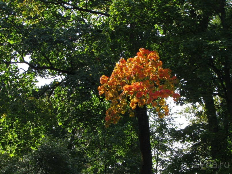 «Дворцов и замков свет…». Часть 2