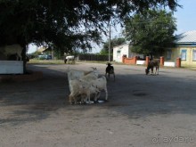Заволжская готика