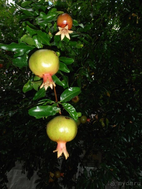 Море, пляж, вокзал