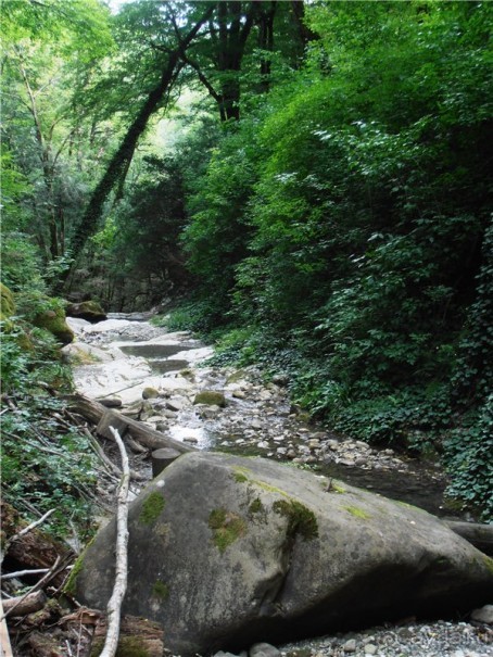 Море, пляж, вокзал