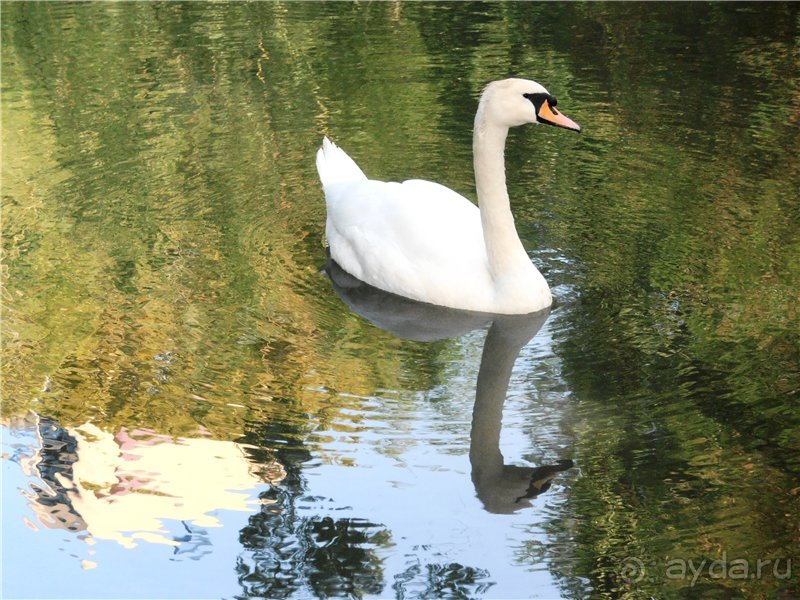 Море, пляж, вокзал