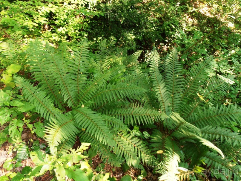 Море, пляж, вокзал