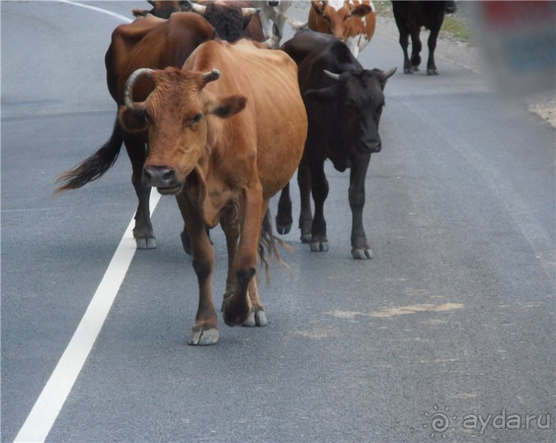 Море, пляж, вокзал