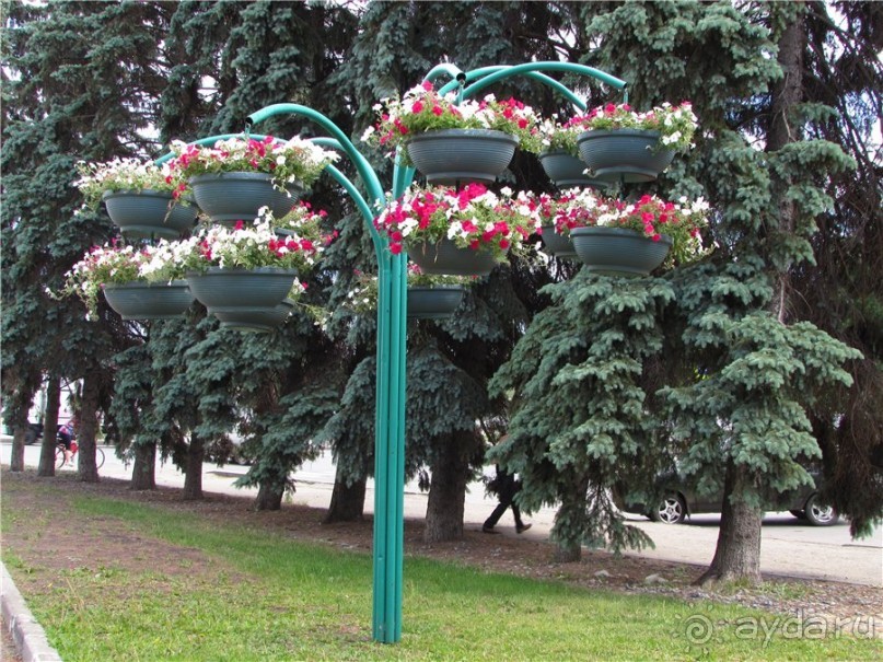 И даже в Пензе...