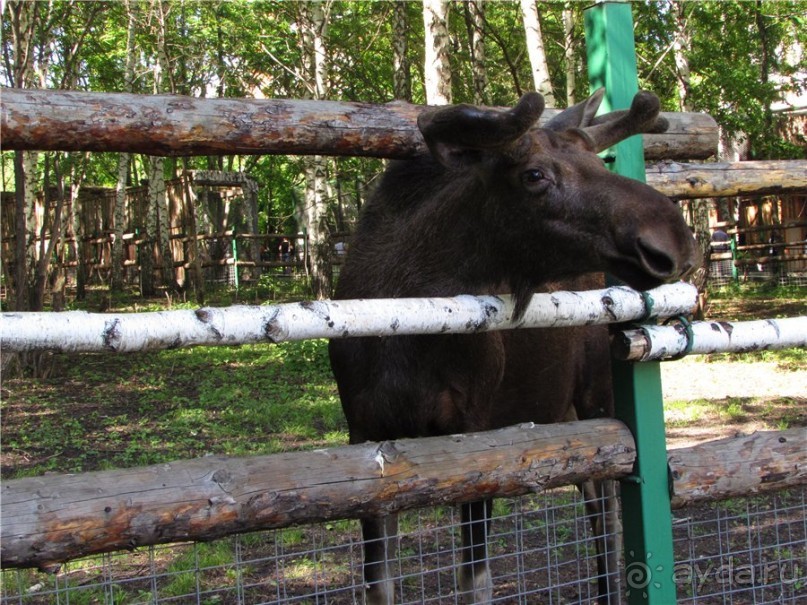 И даже в Пензе...