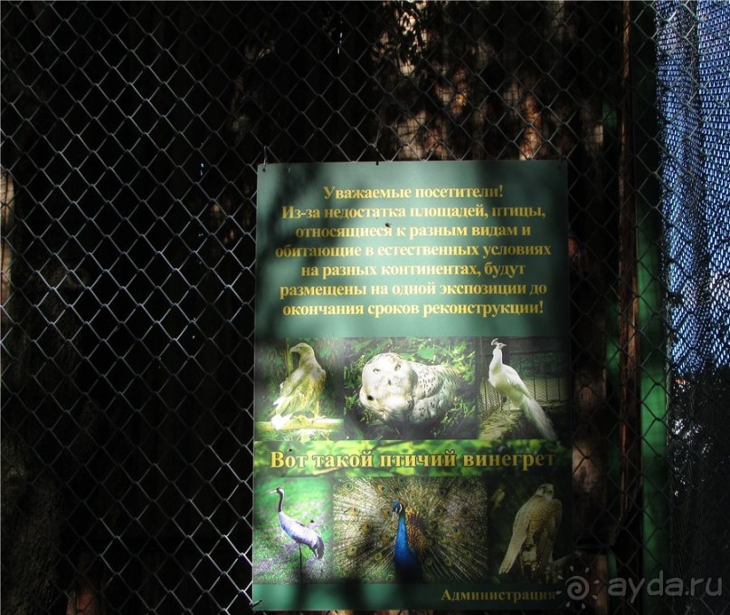 И даже в Пензе...