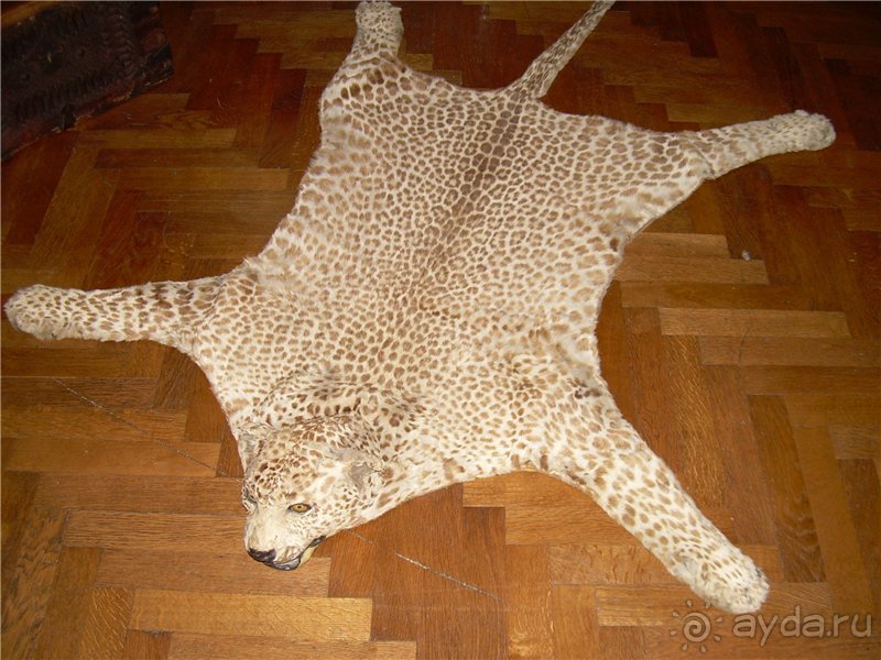 Сказочная страна