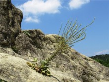 Метеоры: над временем и пространством