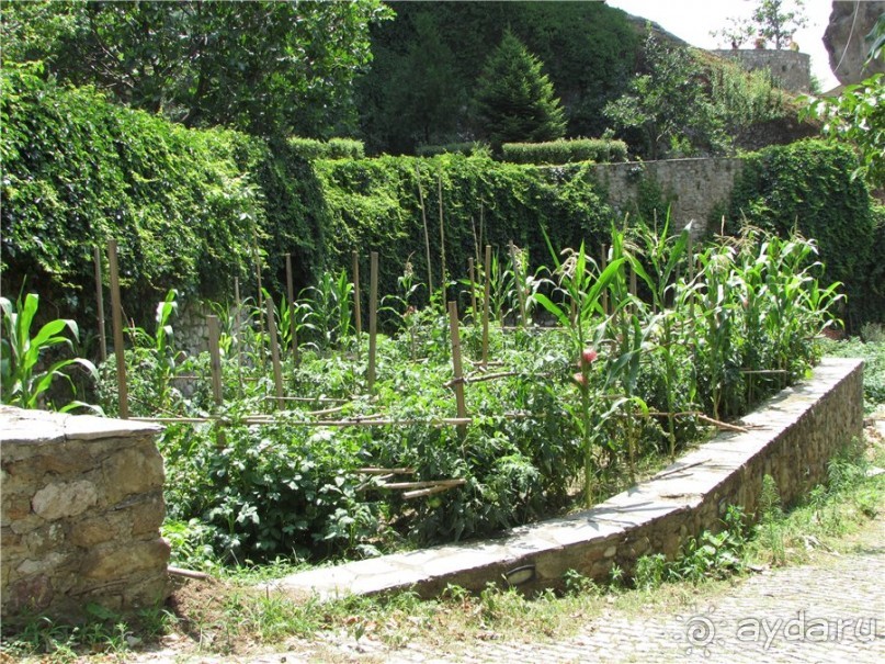 Метеоры: над временем и пространством