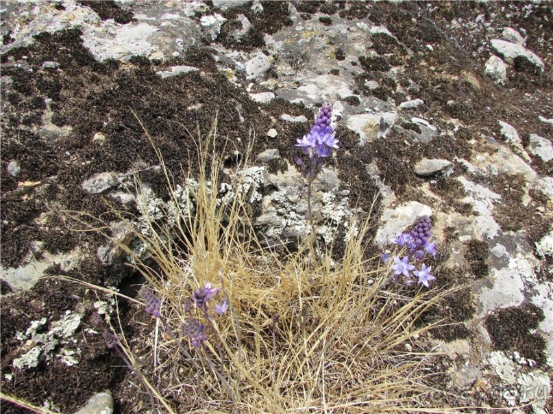 Метеоры: над временем и пространством