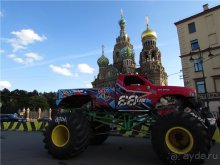 Голубиная столица России