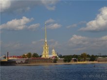 Голубиная столица России