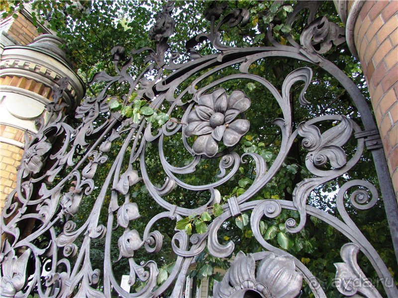 Голубиная столица России