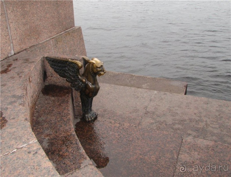 Голубиная столица России