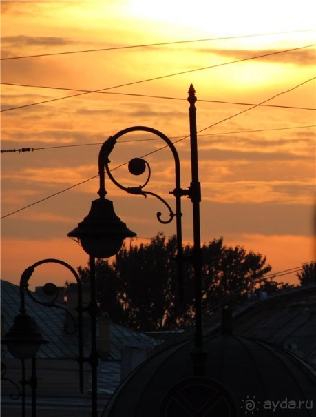 Голубиная столица России