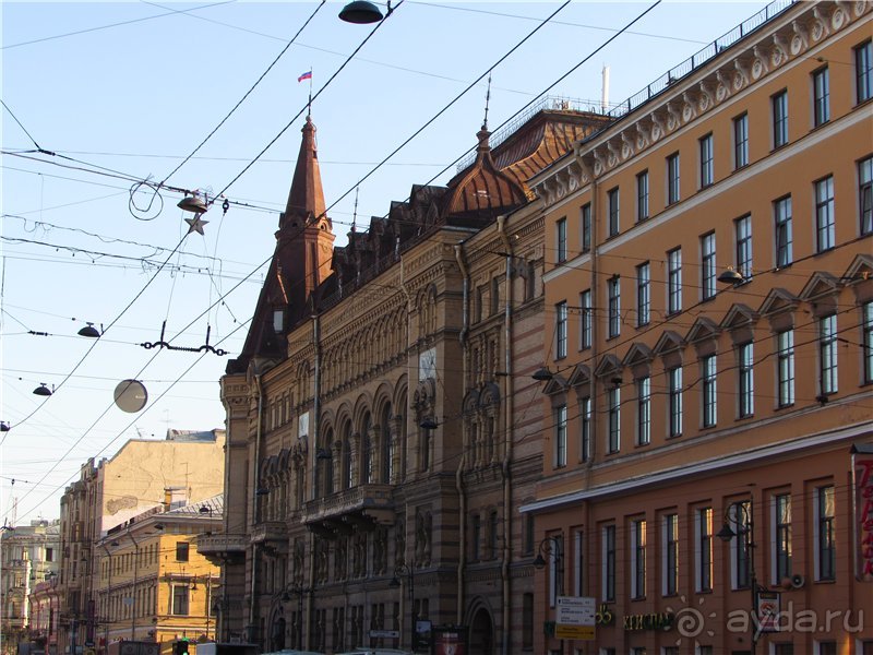 Голубиная столица России