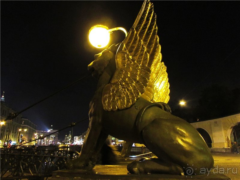 Голубиная столица России