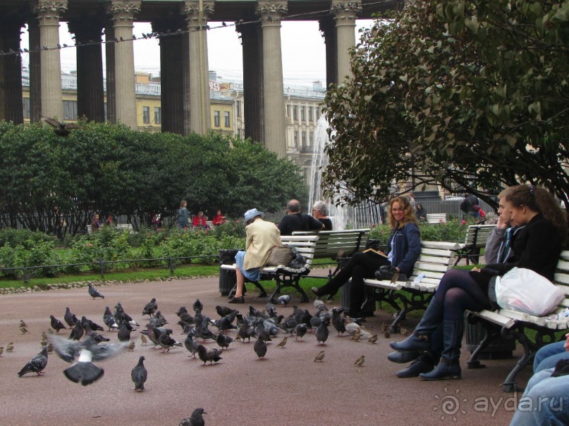 Голубиная столица России