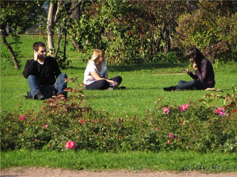 Голубиная столица России