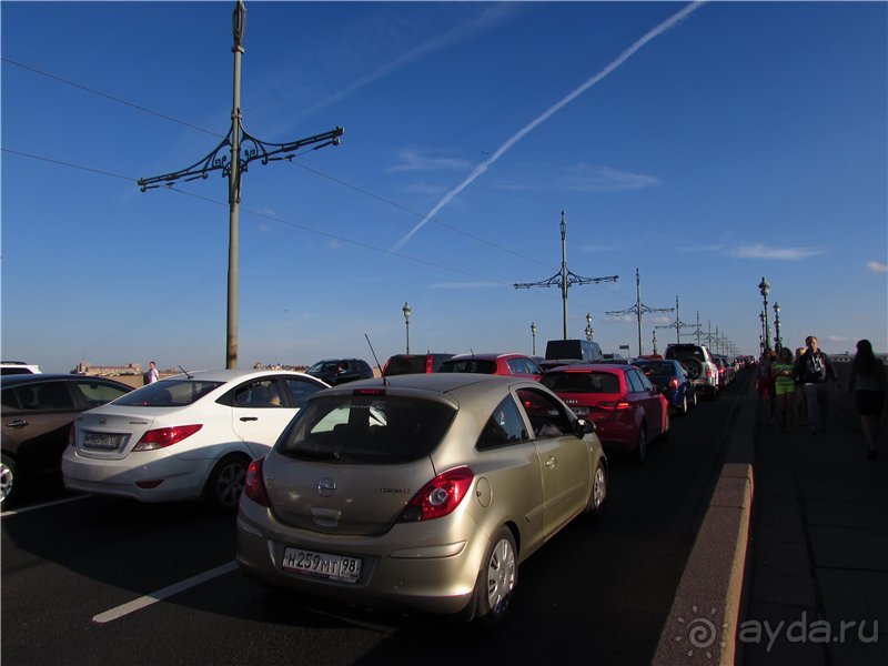 Голубиная столица России