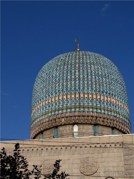 Голубиная столица России