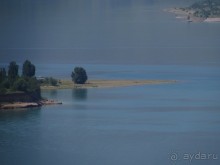 Альбом отзыва "Золотая Бричмулла"