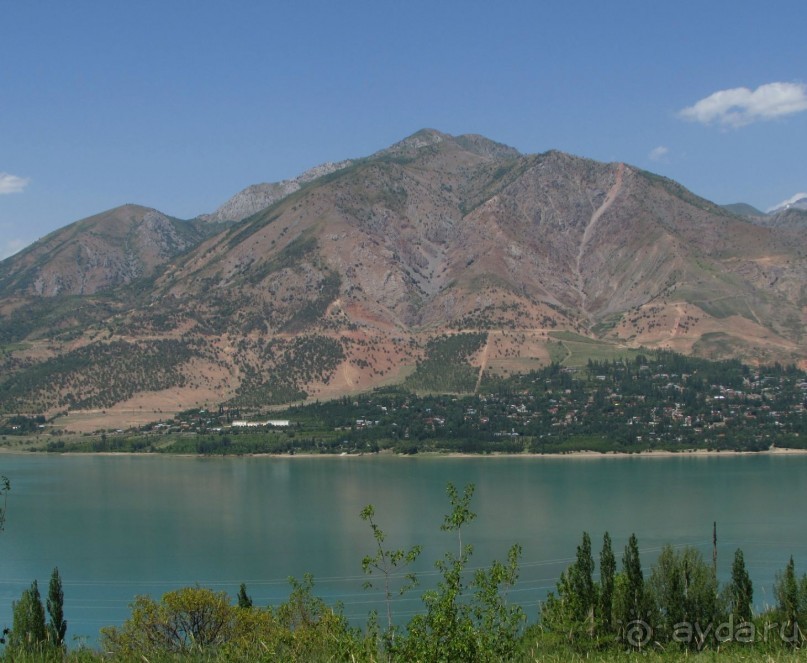 Альбом отзыва "Золотая Бричмулла"