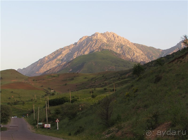 Золотая Бричмулла