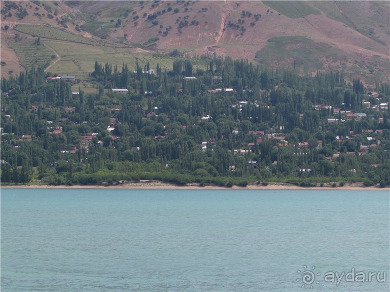 Золотая Бричмулла